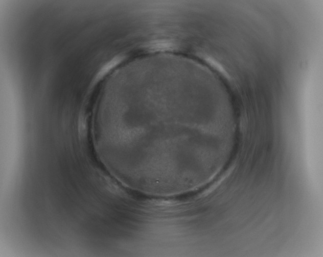 X0000113921309200909241521