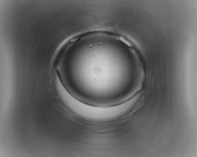 X0000113921310200909241521