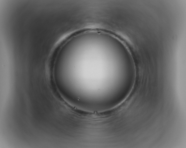 X0000113921311200909241521