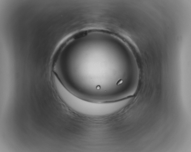 X0000113921312200909241521