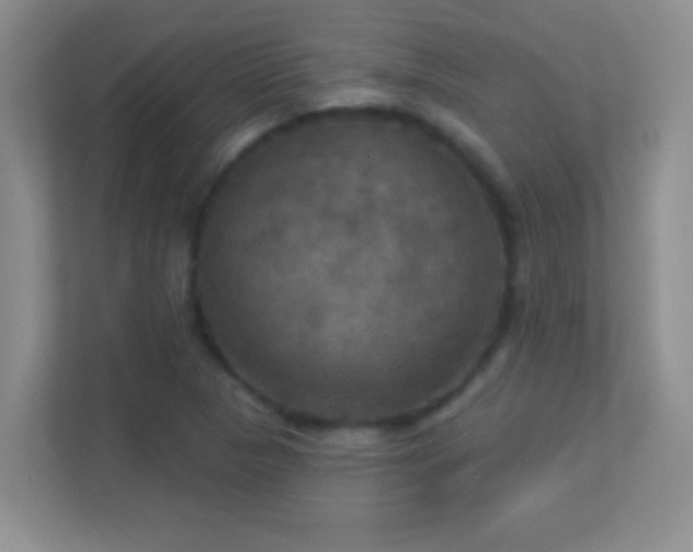 X0000113921313200909241521