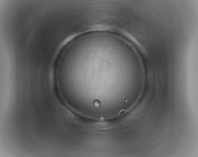 X0000113921315200909241521