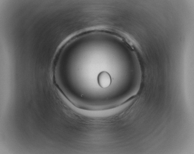 X0000113921316200909241521