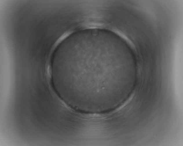 X0000113921317200909241521