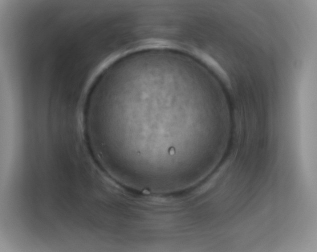 X0000113921318200909241522