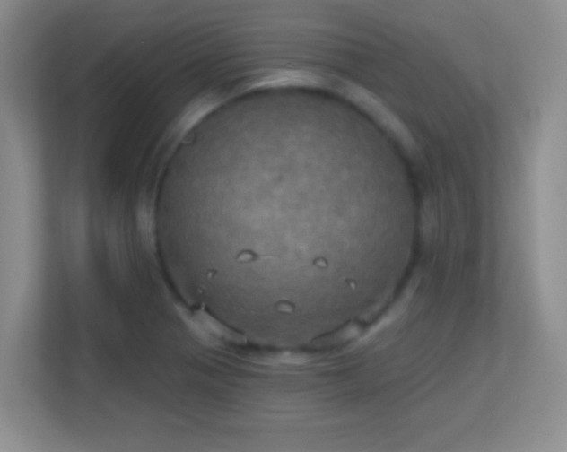 X0000113921321200909241522