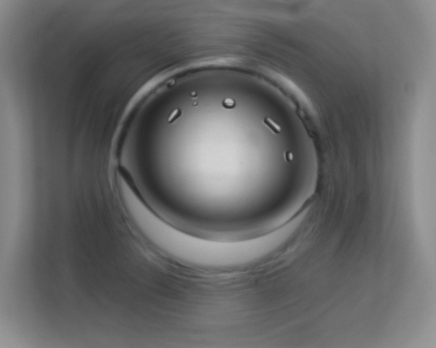 X0000113921324200909241522