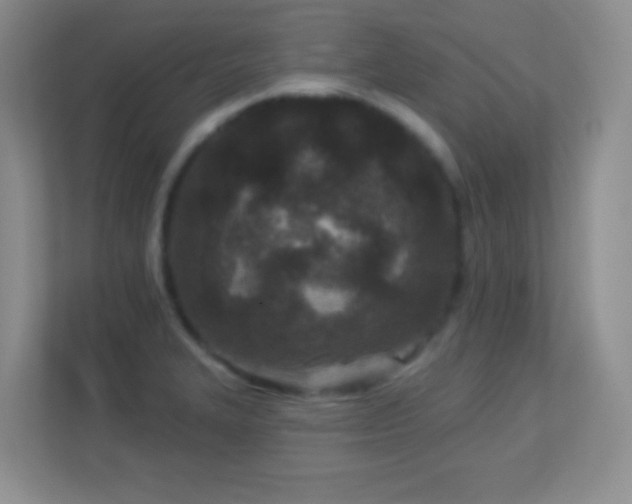 X0000113921327200909241522