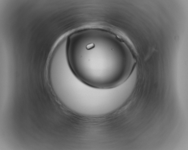 X0000113921328200909241522