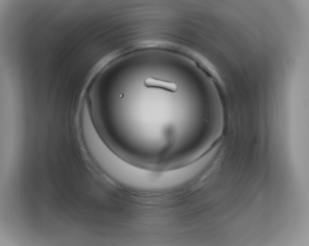 X0000113921330200909241522