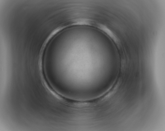 X0000113921331200909241522