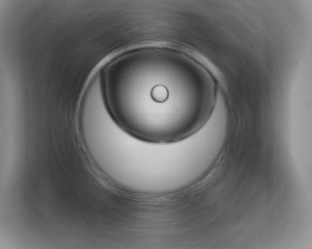 X0000113921332200909241522