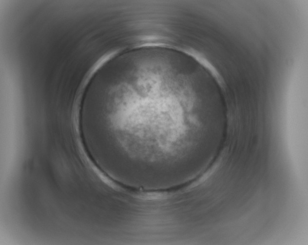 X0000113921333200909241522