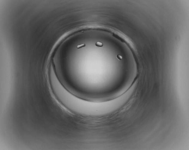 X0000113921334200909241522