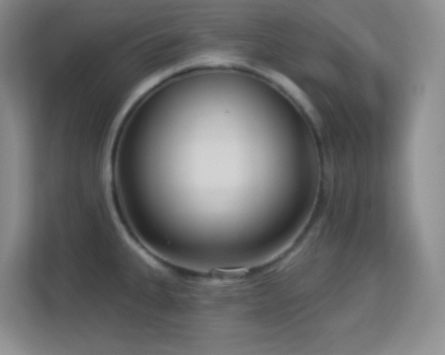 X0000113921335200909241522