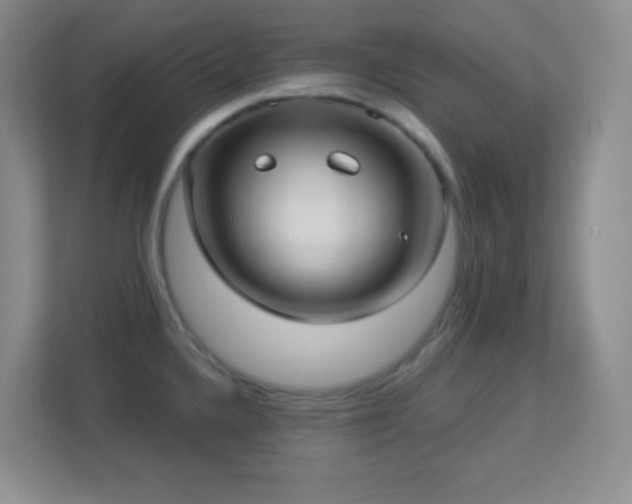 X0000113921336200909241522