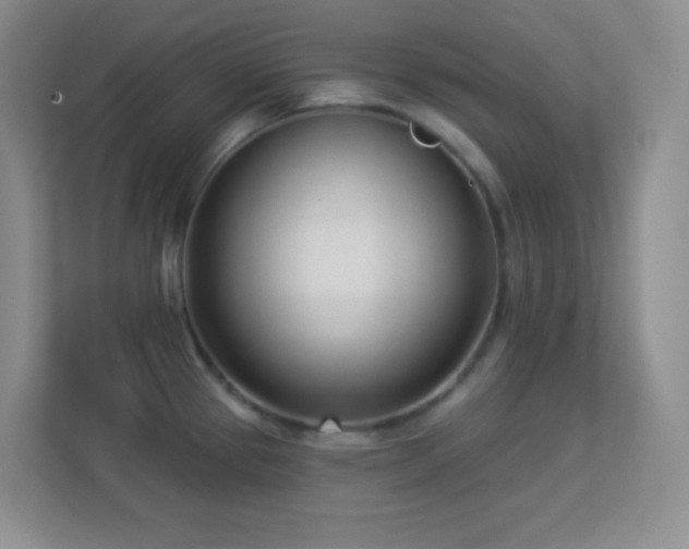 X0000113921337200909241522