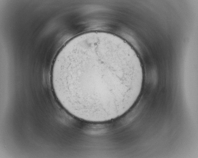 X0000113921338200909241522