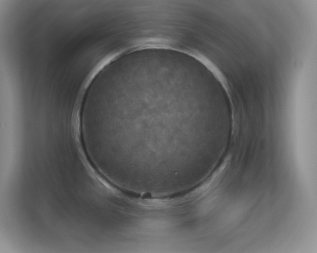 X0000113921341200909241522