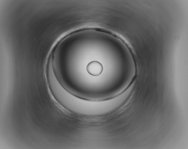 X0000113921342200909241522