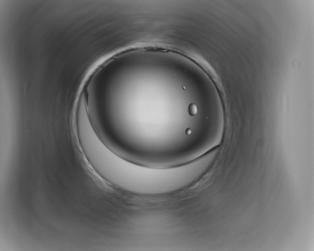 X0000113921344200909241522