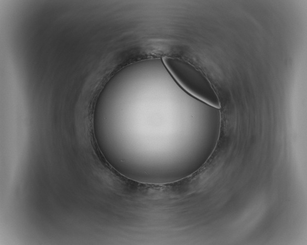 X0000113921345200909241521