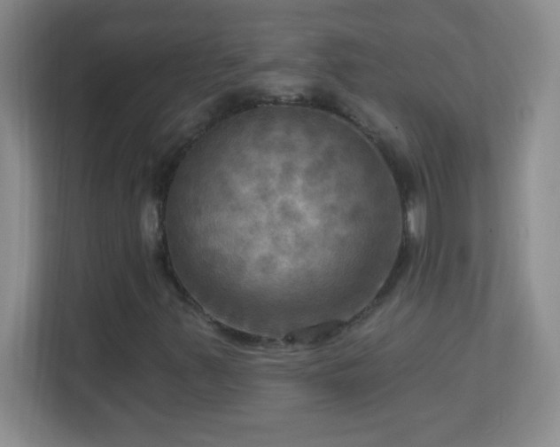 X0000113921347200909241521