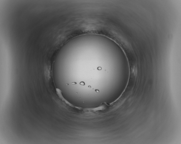 X0000113921348200909241521