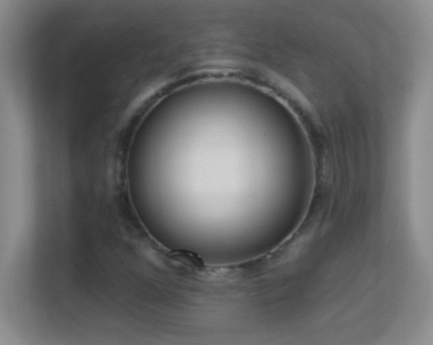 X0000113921352200909241521