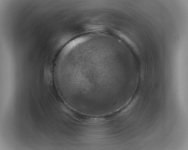 X0000113921354200909241521