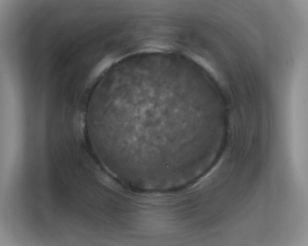 X0000113921355200909241521