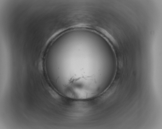 X0000113921356200909241521