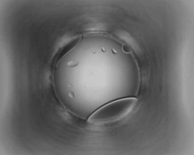 X0000113921357200909241521