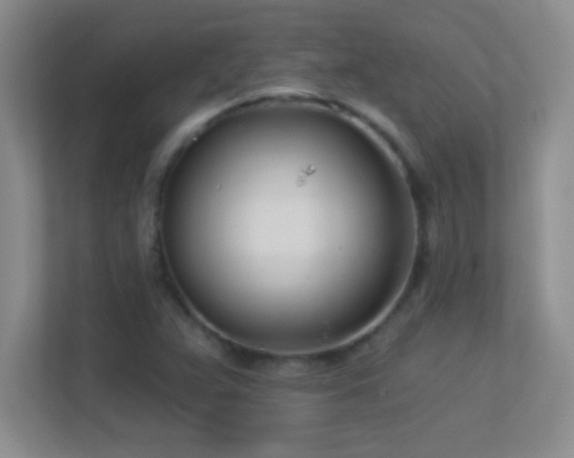 X0000113921359200909241521