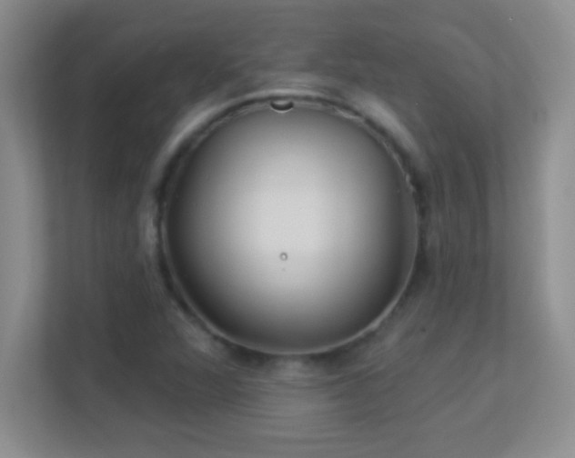 X0000113921360200909241521