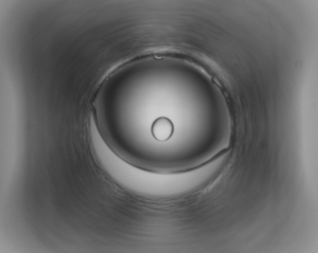 X0000113921361200909241521