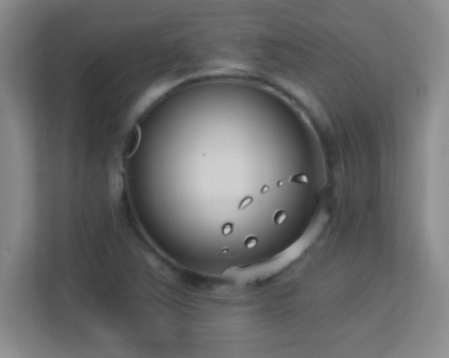 X0000113921363200909241521