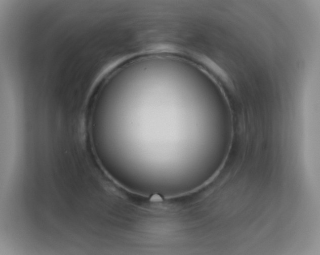 X0000113921364200909241521