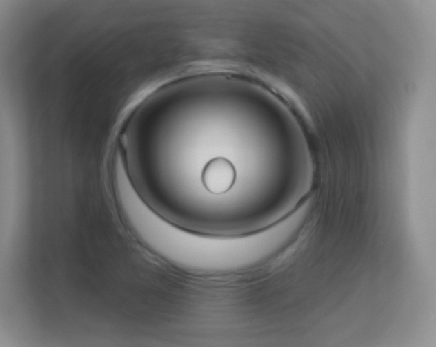 X0000113921365200909241521