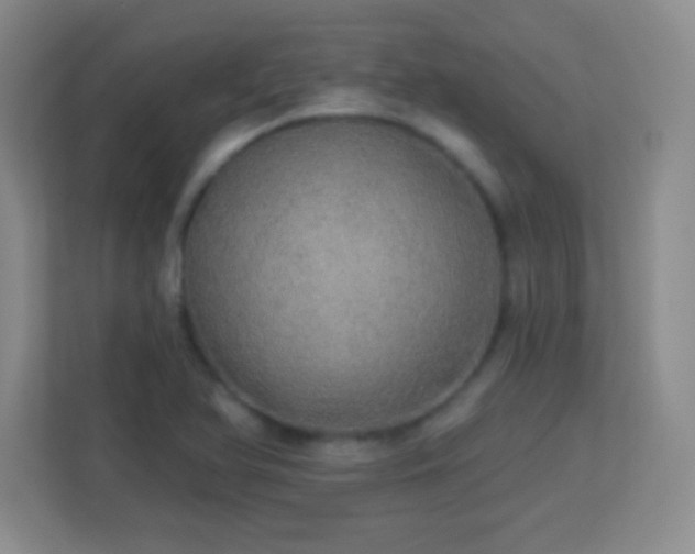 X0000113921366200909241521