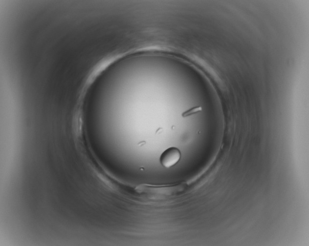 X0000113921367200909241521