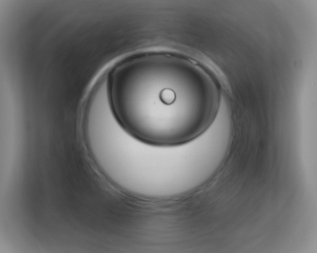 X0000113921368200909241521