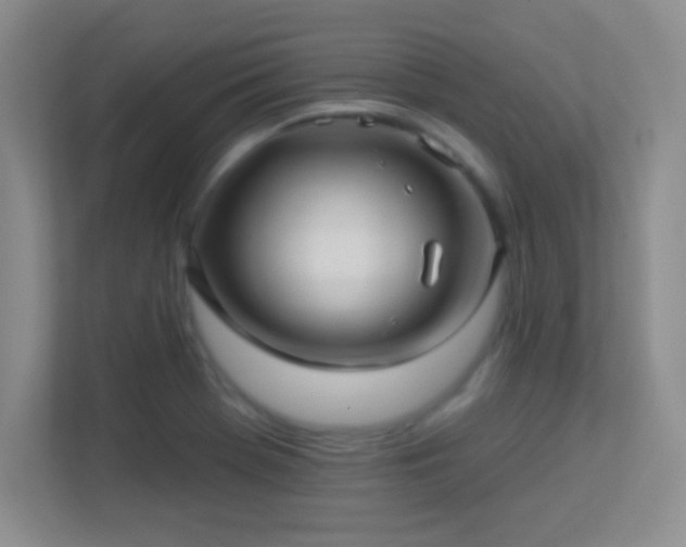 X0000113921369200909241521