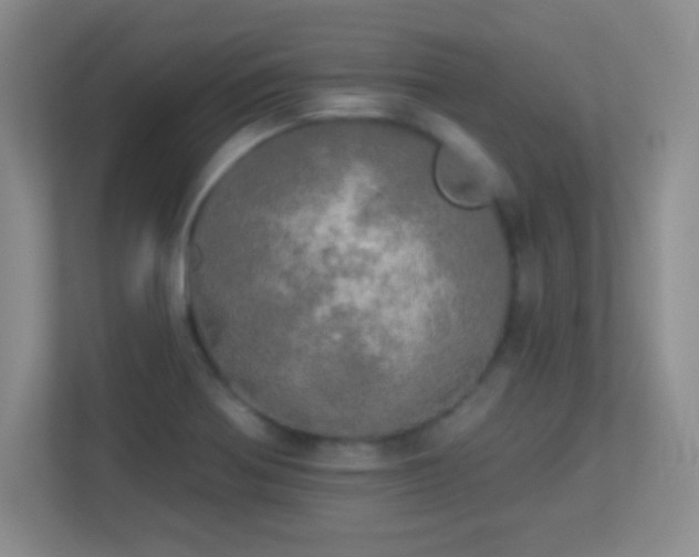 X0000113921370200909241521