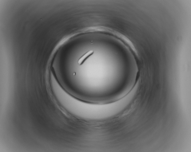 X0000113921373200909241521