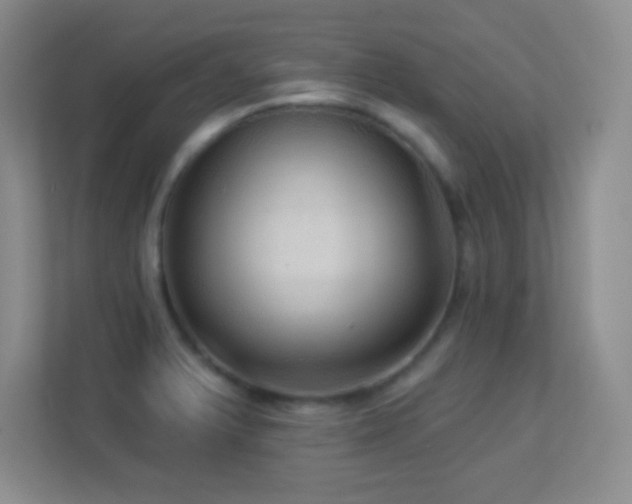 X0000113921375200909241521