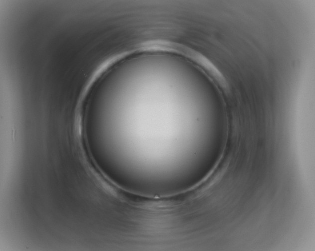 X0000113921376200909241521