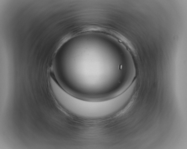 X0000113921377200909241521