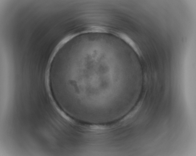 X0000113921379200909241521