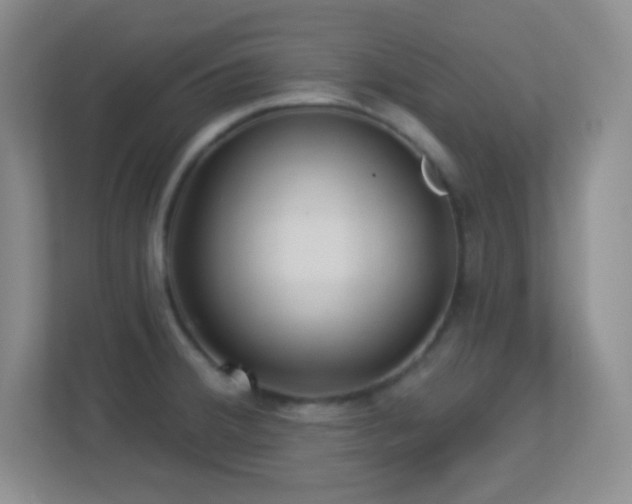 X0000113921380200909241521